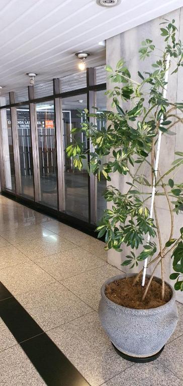 Mi Lugar en el Mundo - 4