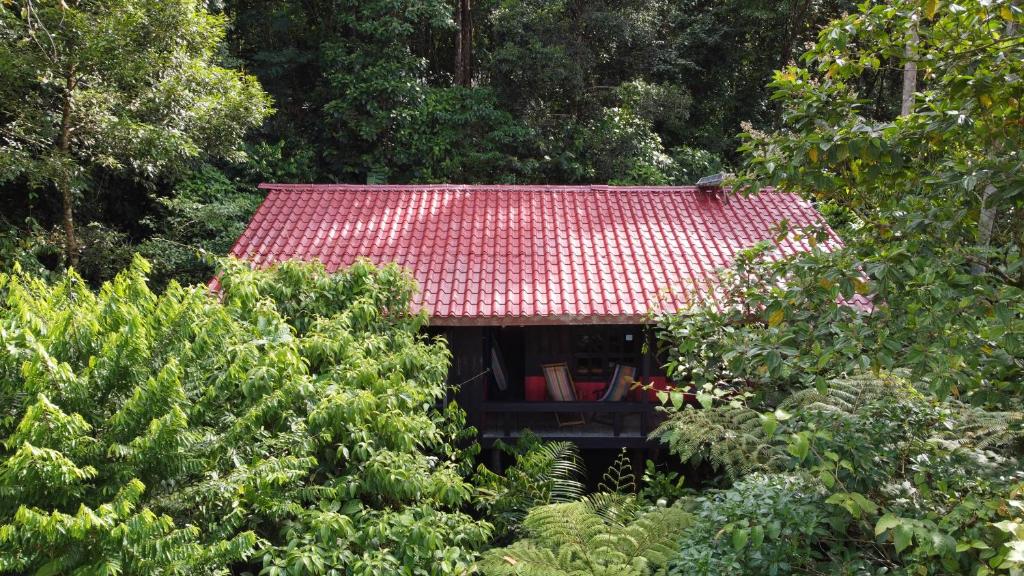 Yatama Rainforest Ecolodge — Hotel in Tigre