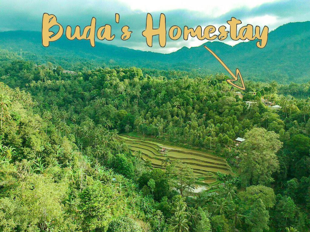 Buda's Homestay Lemukih photo