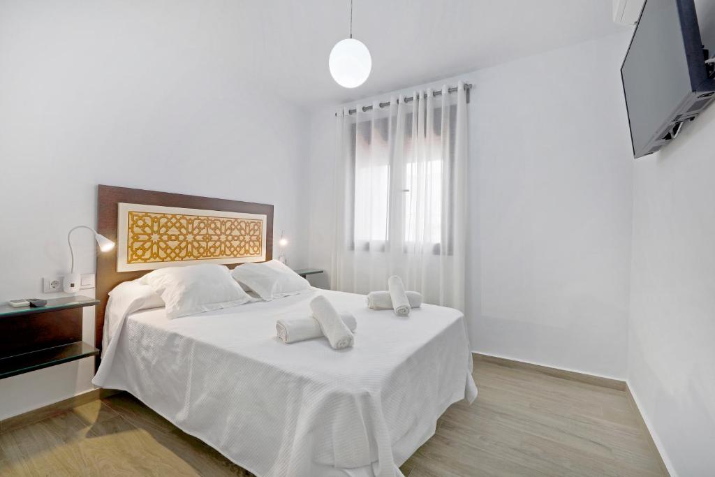 Tejón y Marín, nuevo apartamento en casco antiguo - 5