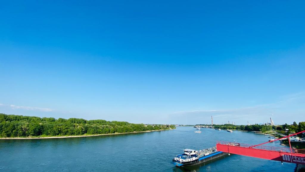Hotel am Rhein photo