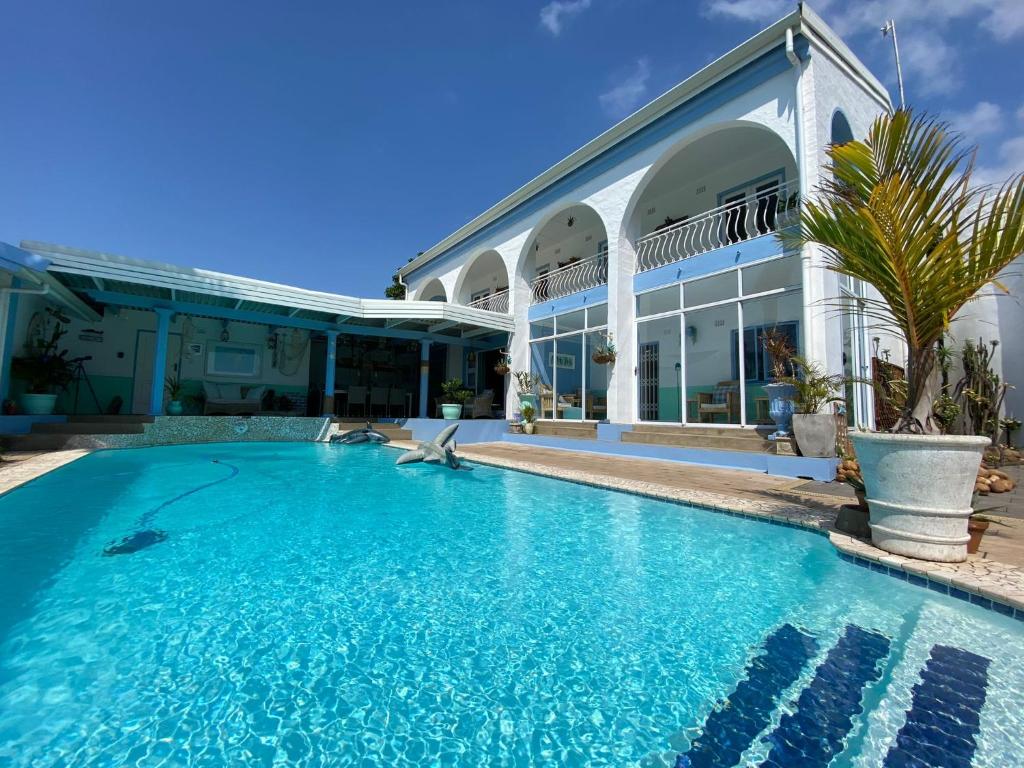 ThE LaZy ShArK — Hotel in Freeland Park