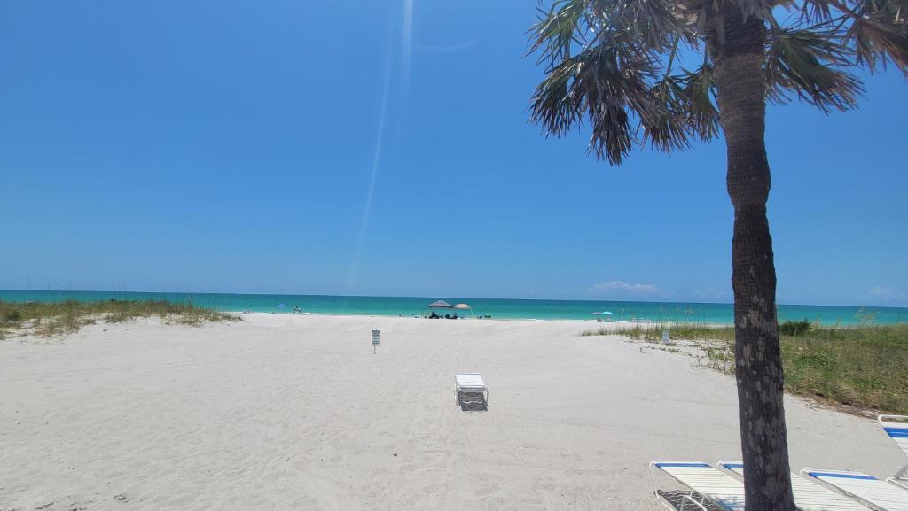 Beach Front Condo Paradise. Ground Floor.Studio., Longboat Key