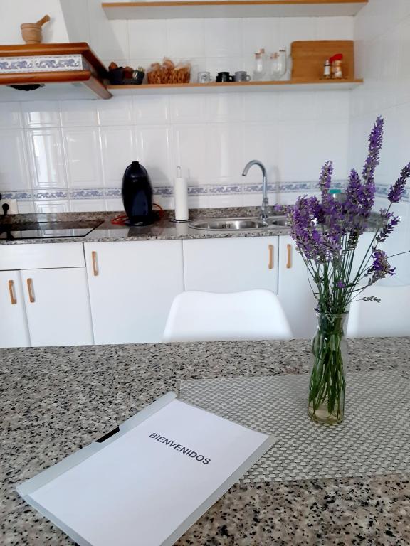 Apartamento Casa Tambo, Campelo - 5