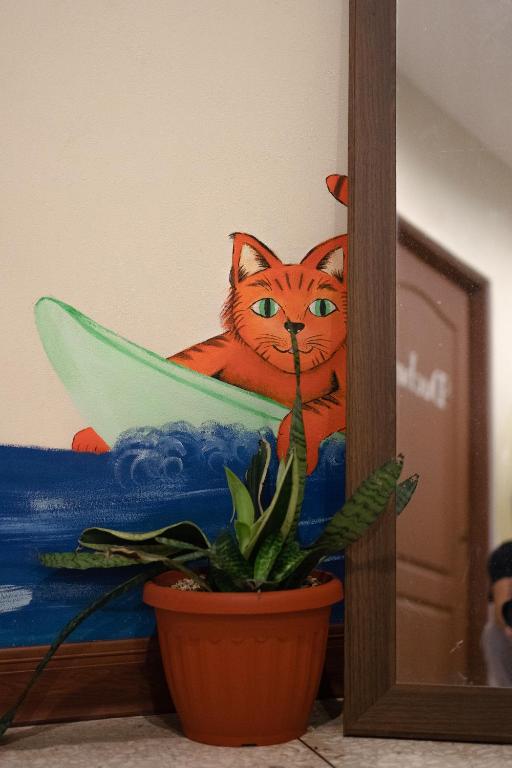 Stray Cat Hostel photo