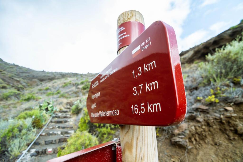 スポーツ/アクティビティ