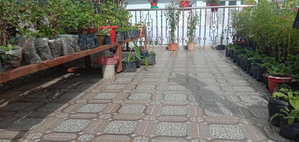 RISE N SHINE HOMESTAY photo