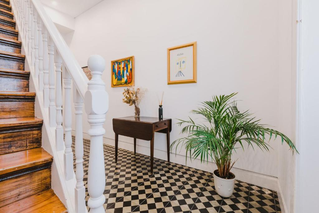 Jaca Hostel Funchal photo