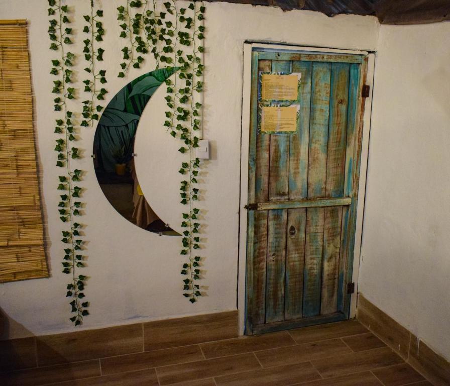 Hotel El Delfin photo