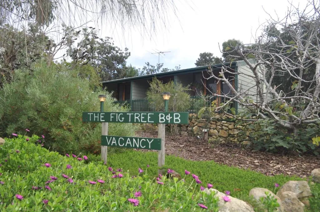 The Fig Tree B&B, hotel en Baudin Beach