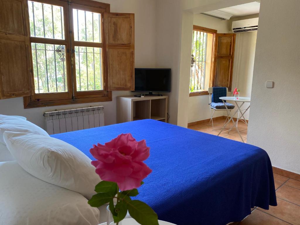 Hostal Moscatel - 5