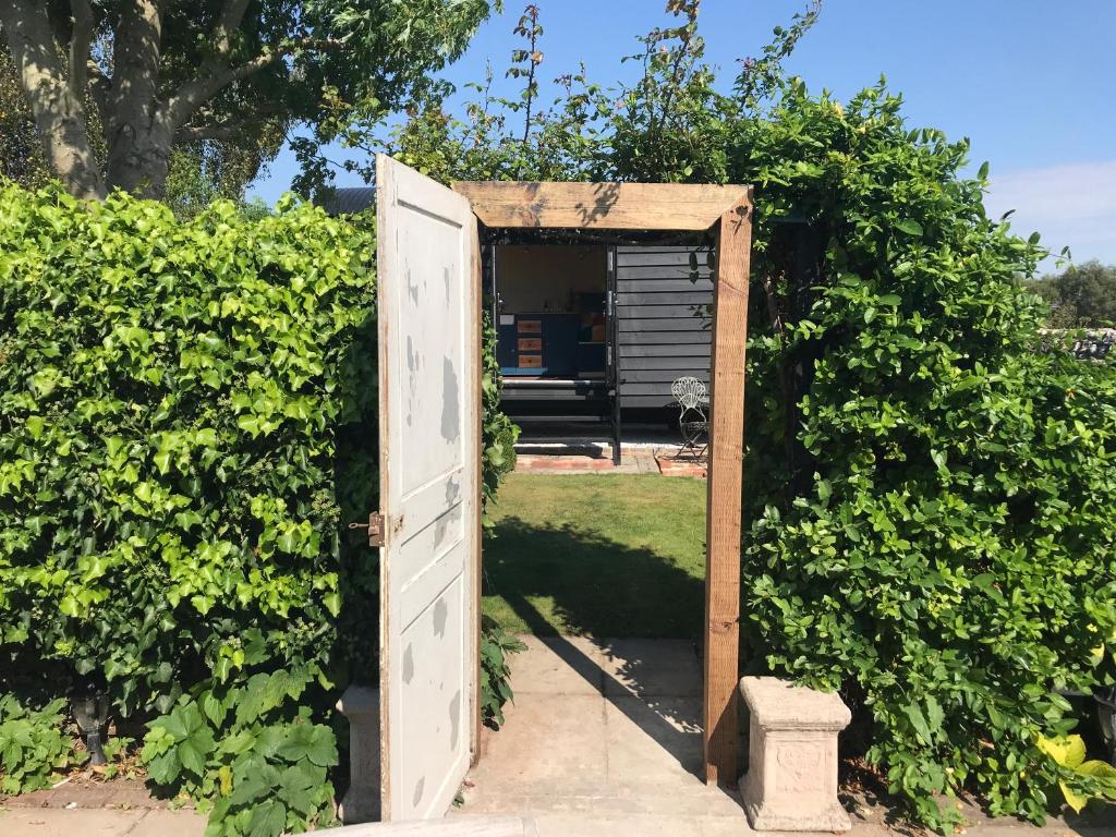Chichester Shepherds Hut photo 8