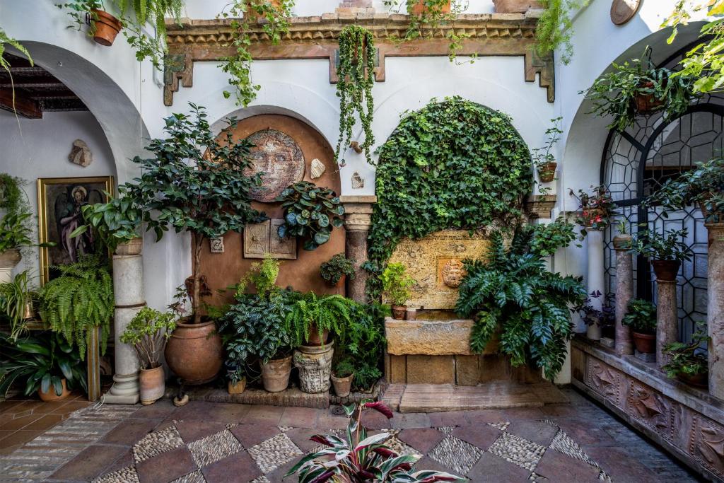 Apartamento con patio cordobés en San Basilio & Parking - 4