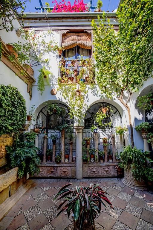 Apartamento con patio cordobés en San Basilio & Parking - 5