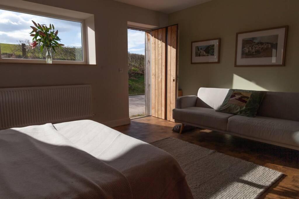 The Studio Contemporary studio with organic swimming pool, Skelsmergh