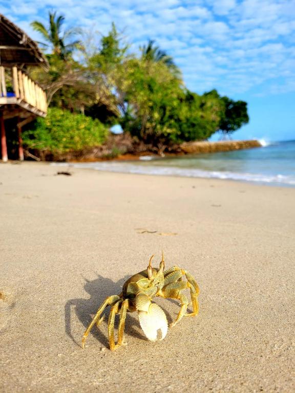 Fumba Beach Lodge photo