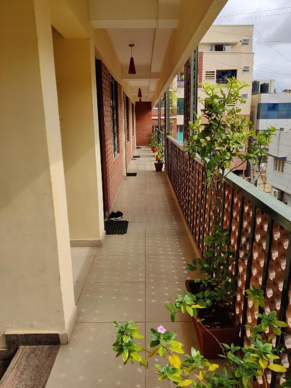Fernandes Complex photo