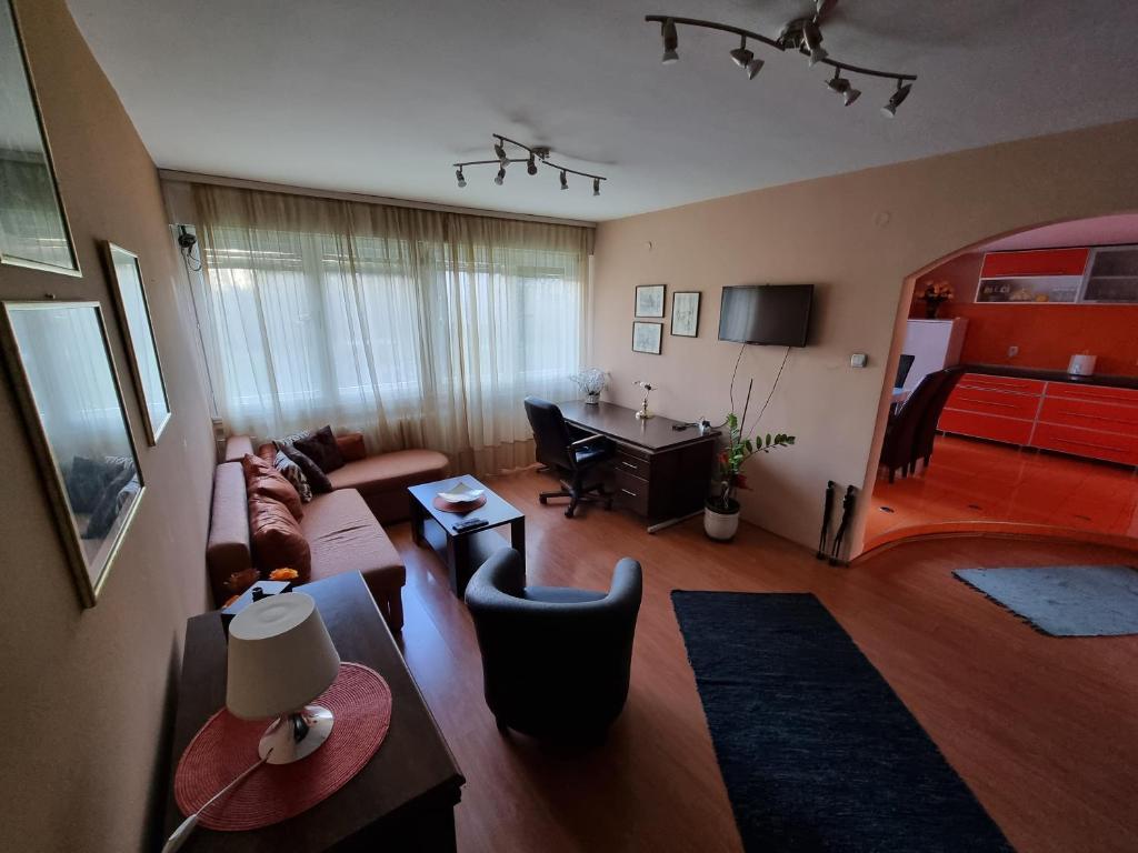 Large, Spacious Apartment Voždovac - 4