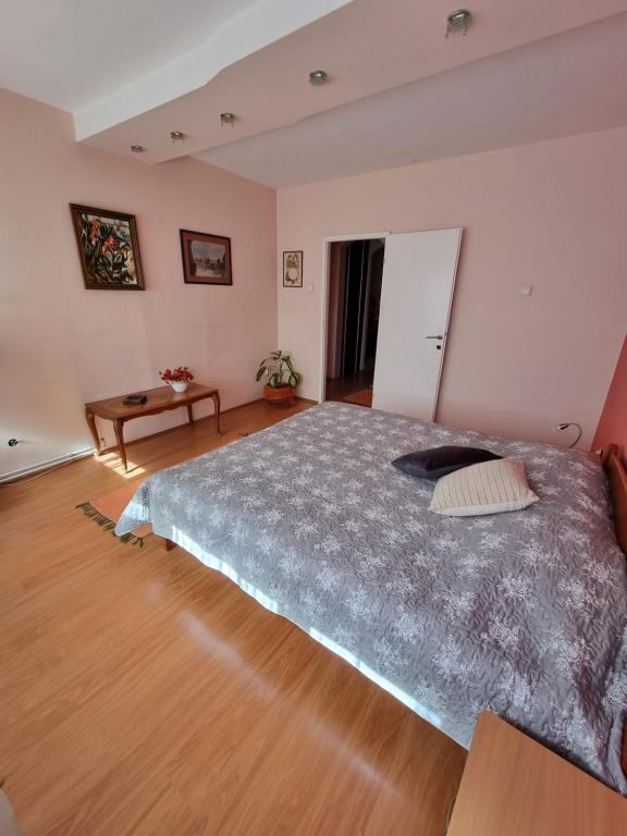 Large, Spacious Apartment Voždovac - 5