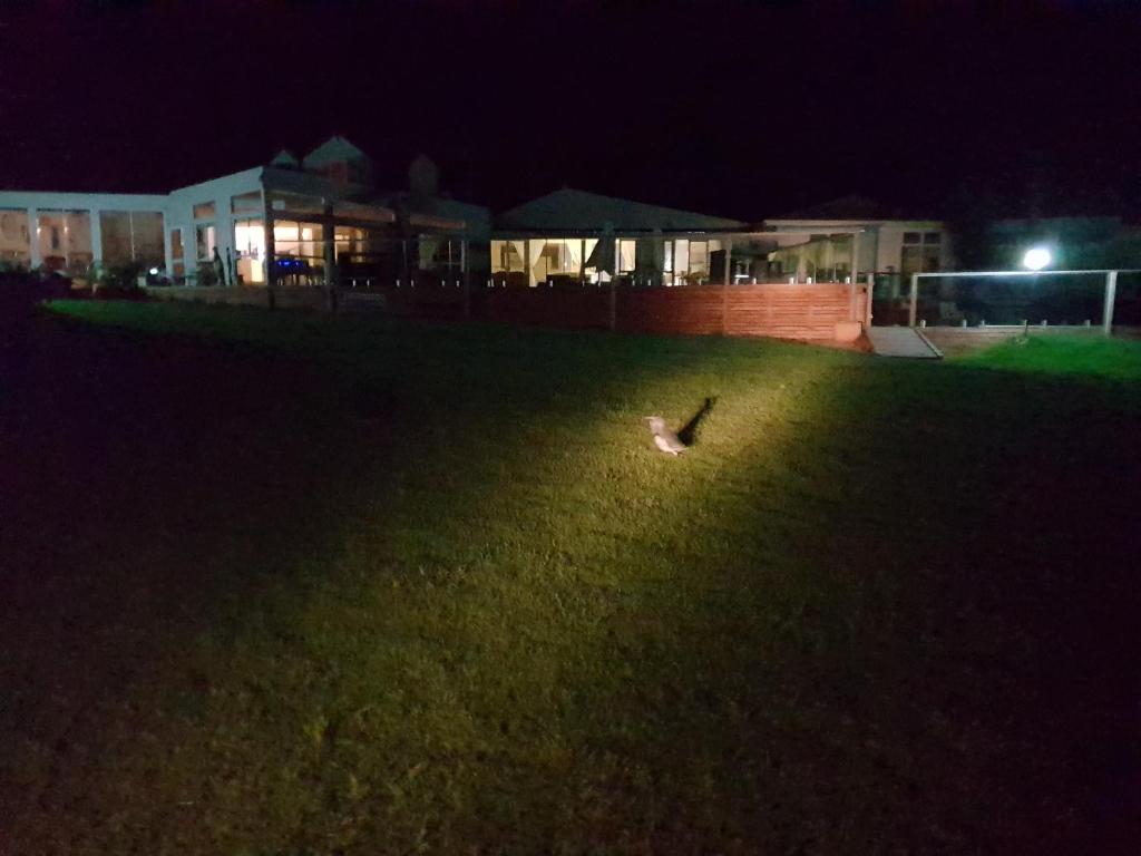 المنظر الخارجي