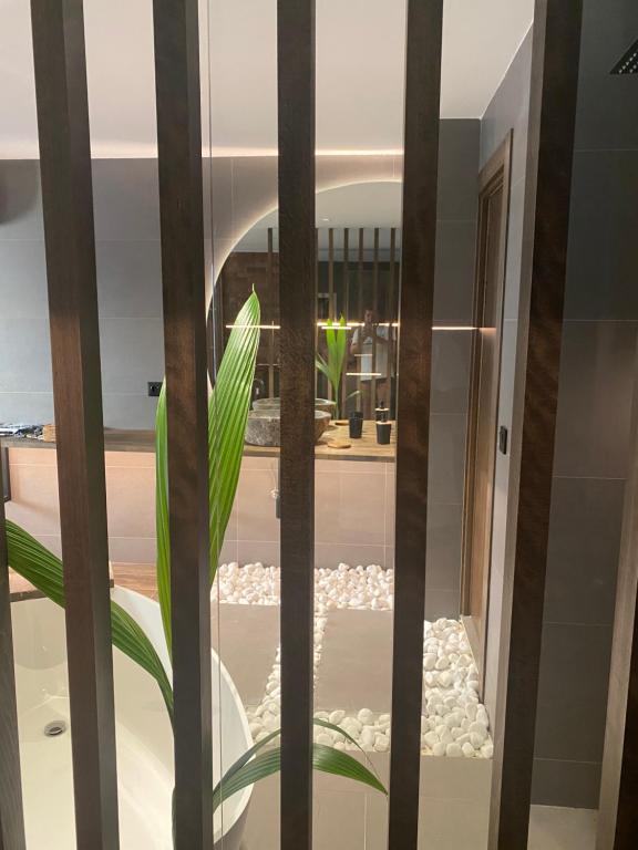 Precioso apartamento en Madrid Chamberí - 5