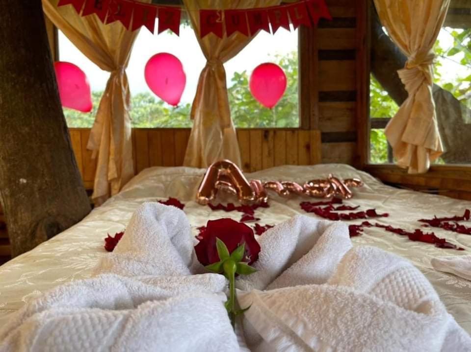 Eden Treehouse photo