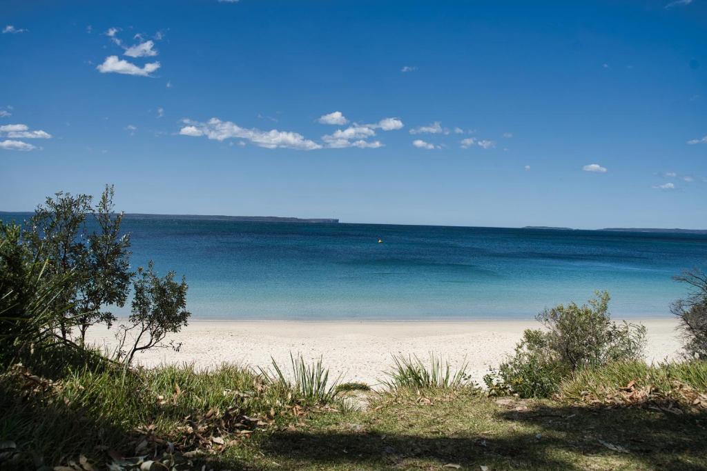 Husky 56 Deluxe Beachfront Villa's photo