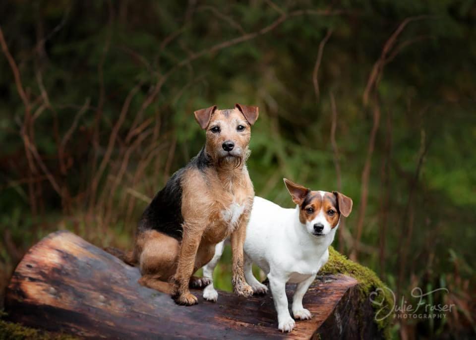 Ancarraig Lodges photo