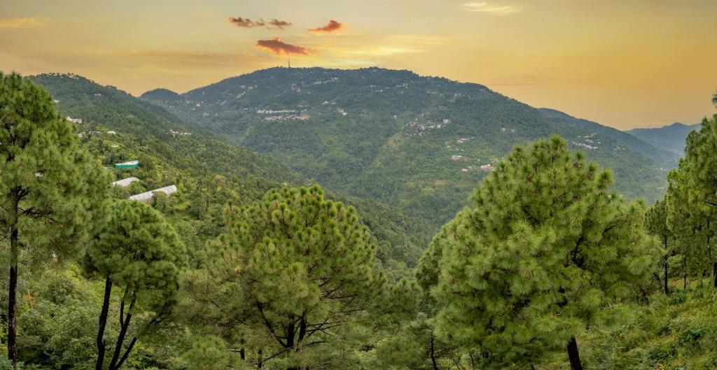 The Himalayan Edge By Exotic Stays — Hotel in Dharampur