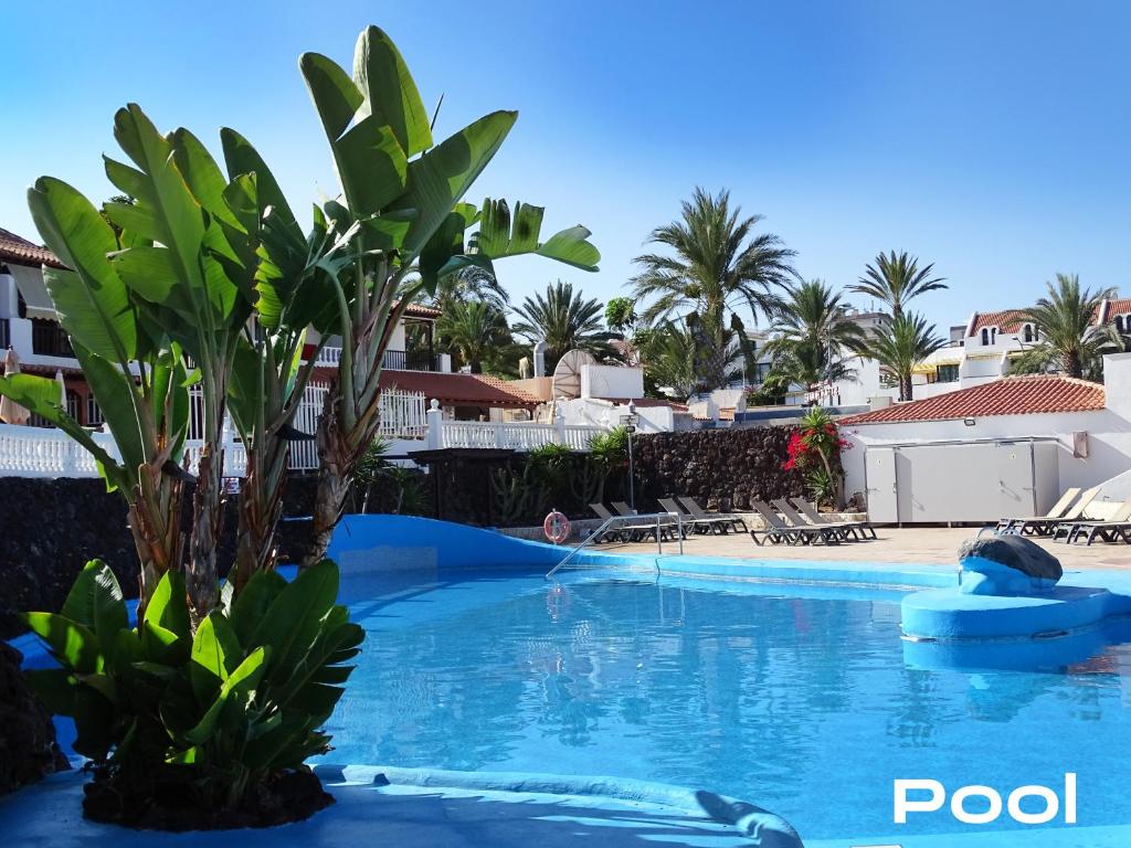 Las Americas Luxury Low-Cost Apartment with Terrace & Views - 4