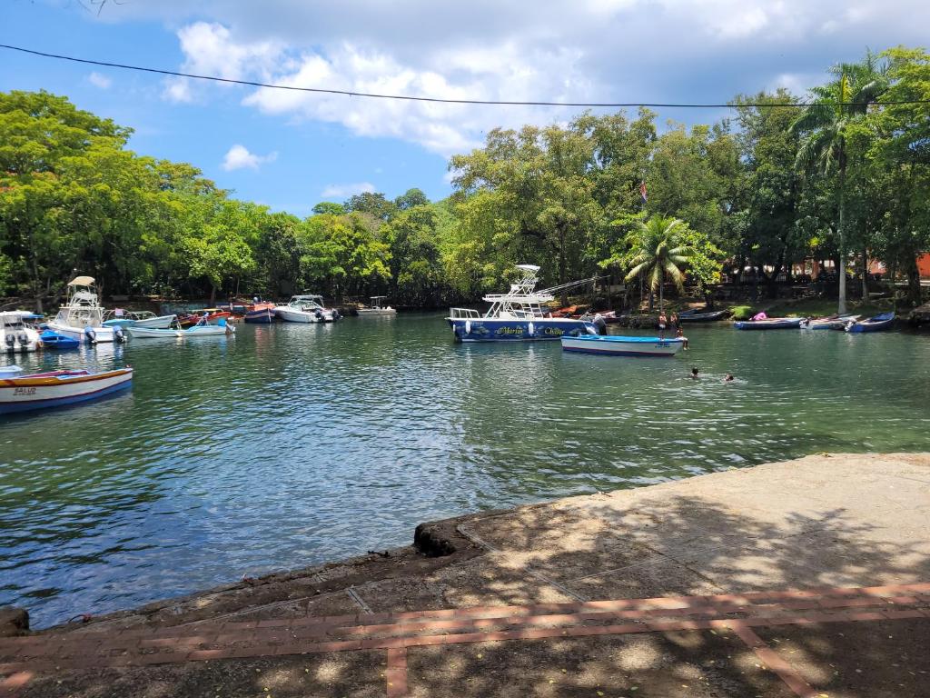 Surrounding environment