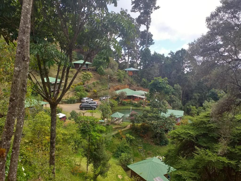 Las Cataratas Lodge photo