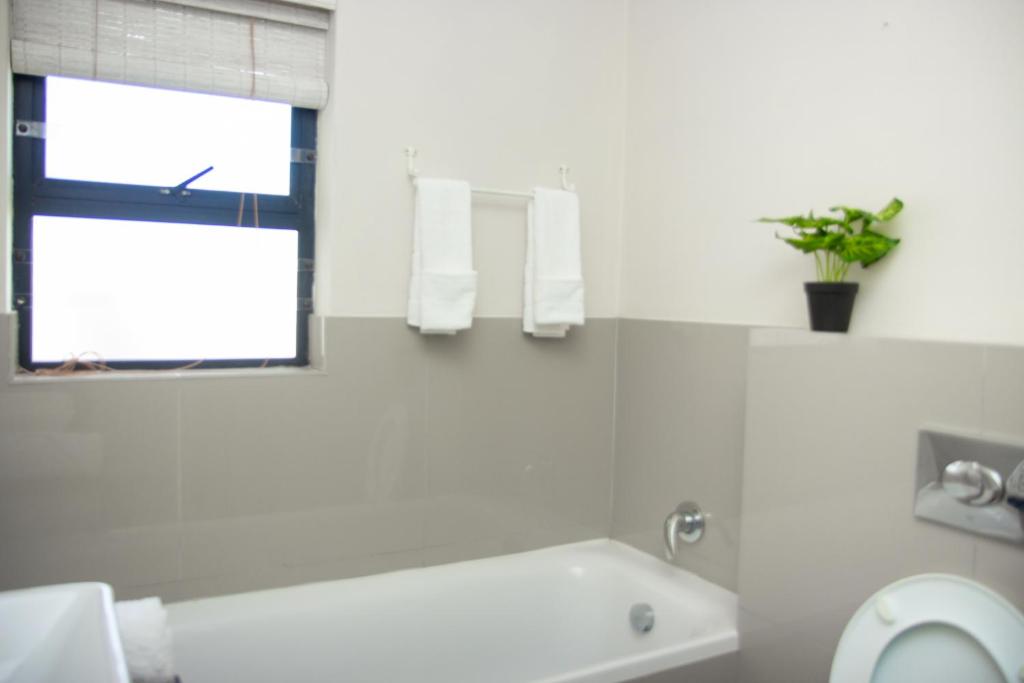 Wilcre's blouberg home photo
