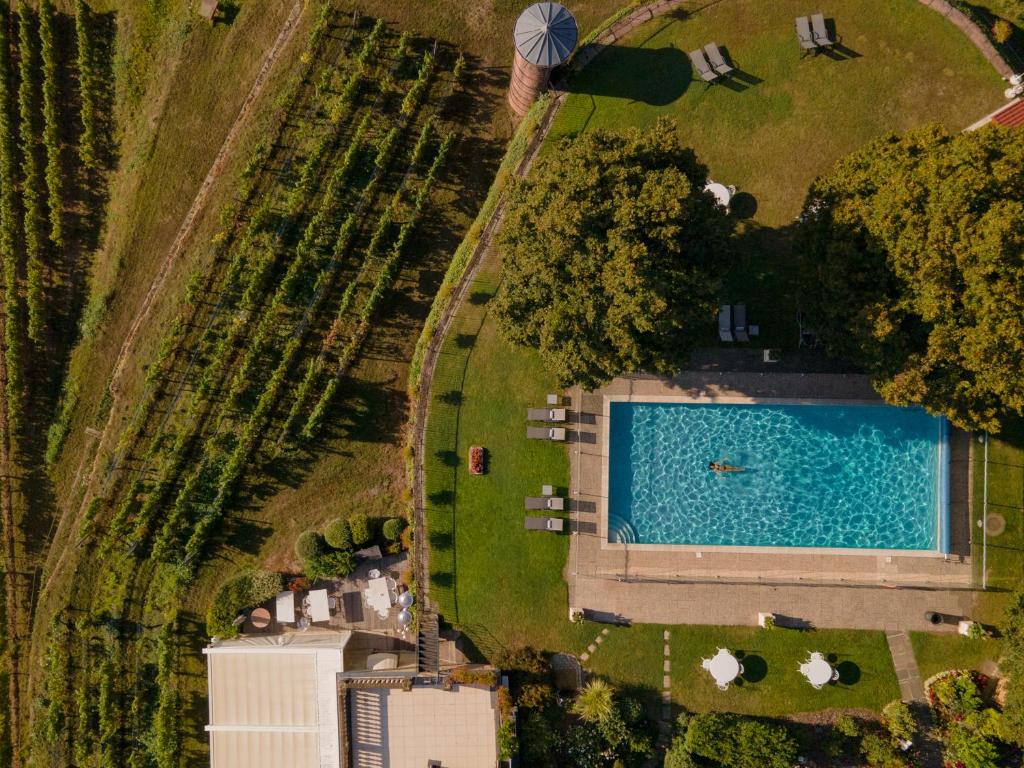 Chateau d'Isenbourg & SPA photo