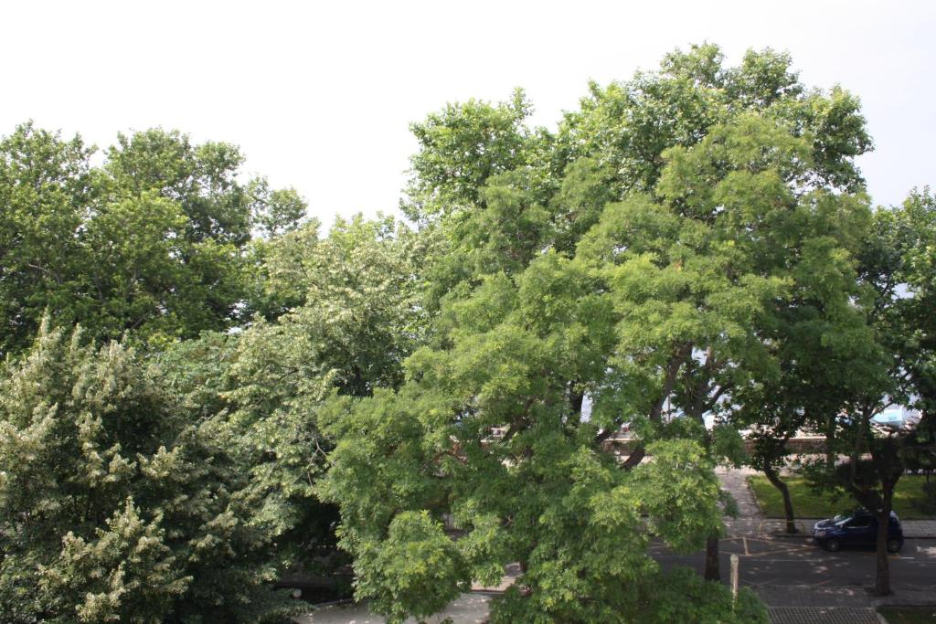 Paradise Hotel & Relax Center — Atrakcje w okolicy in Pomorie, Region Burgas