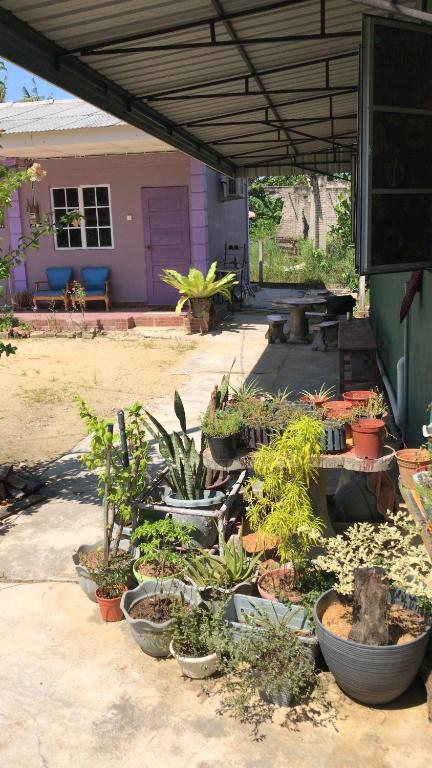 Homestay D HANA formely known as d sofia homestay photo