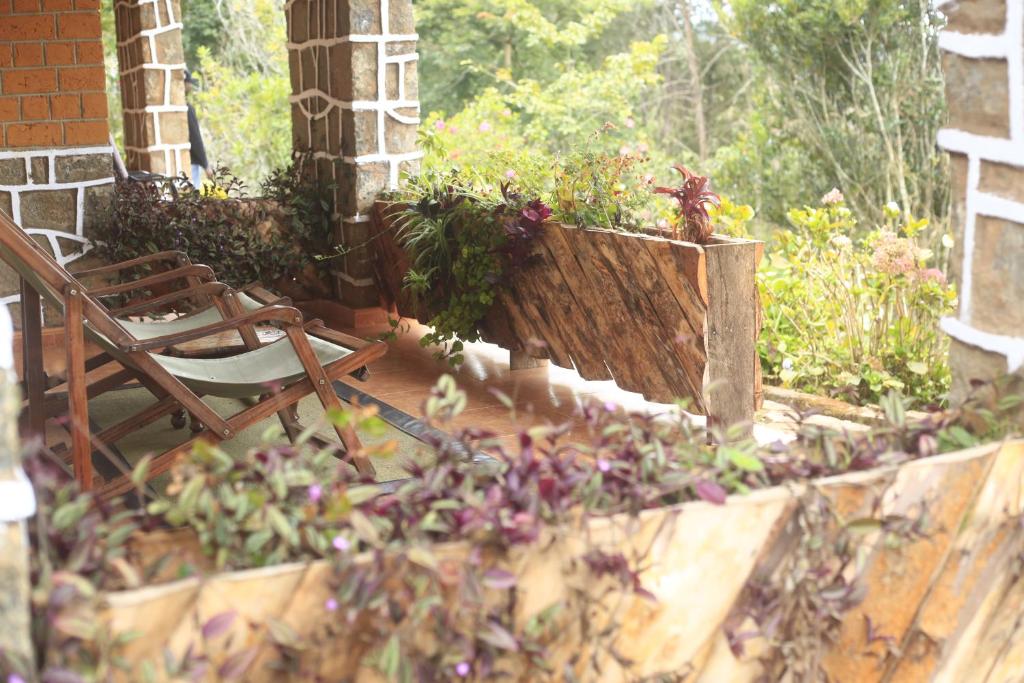 バルコニー/テラス