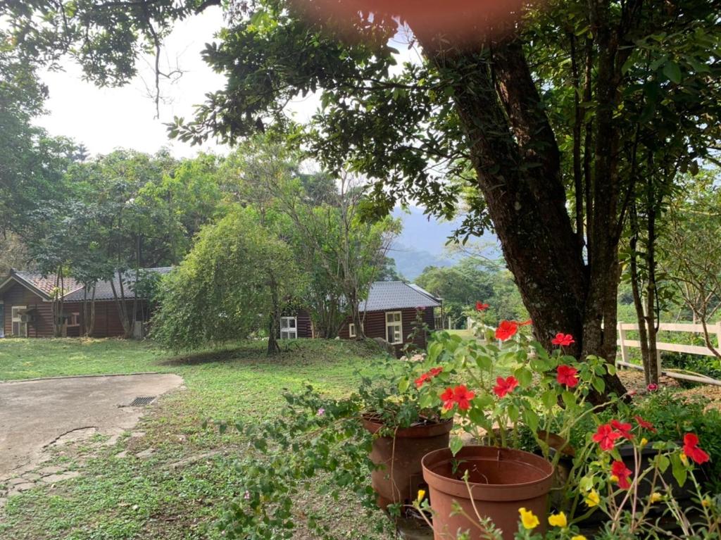 南洋62之森, Nanzhuang