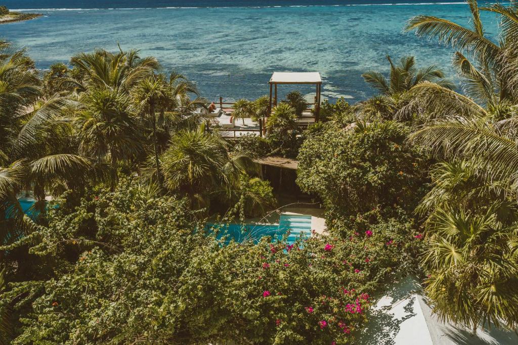 Swimming pool, Jashita Hotel in Tulum