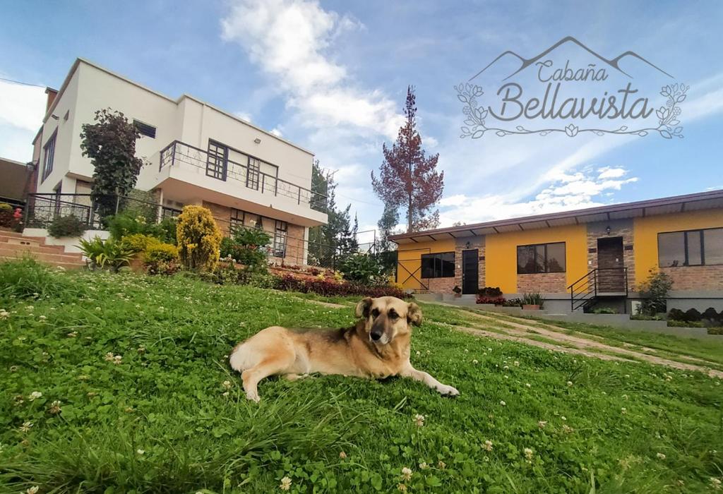Cabana Bellavista photo