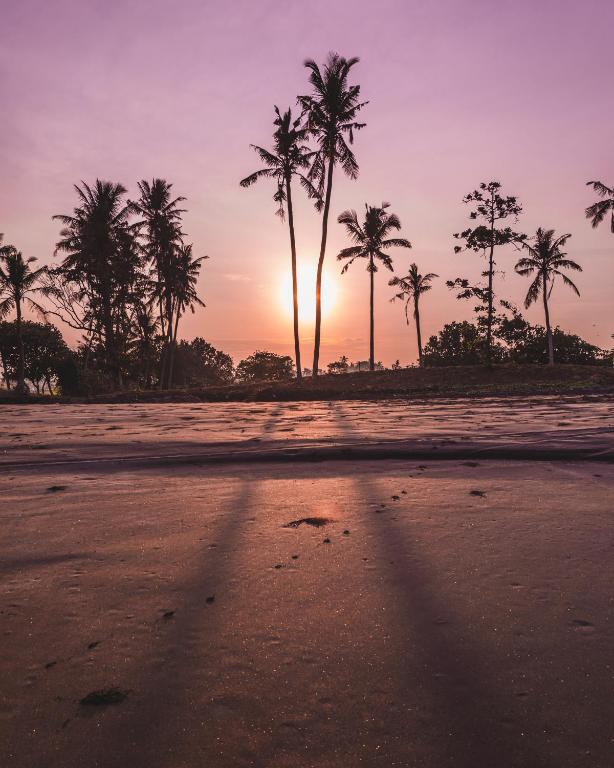 Seaside Tribe - Boutique Surf Stay & Retreat photo