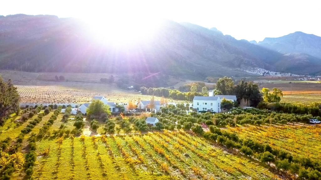 Droom Guesthouse — Hotel in Franschhoek