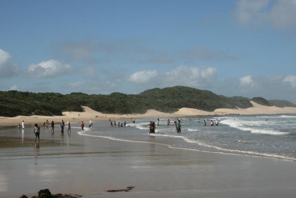 Surrounding environment