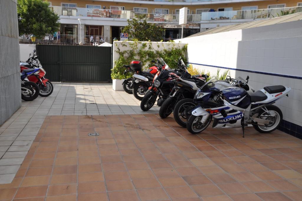 Aparthotel Safari — Restaurant & bars in Calella, Catalonia