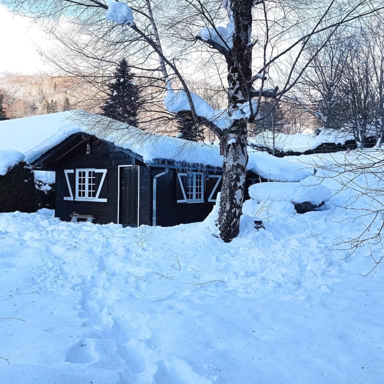 Chalet des cascades - 2