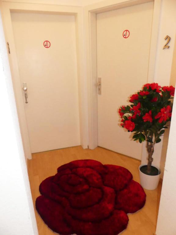 Hotel Akropolis photo