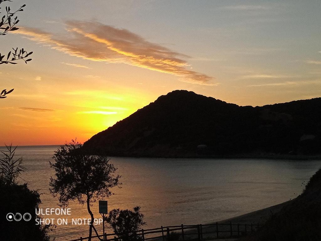 Surrounding environment