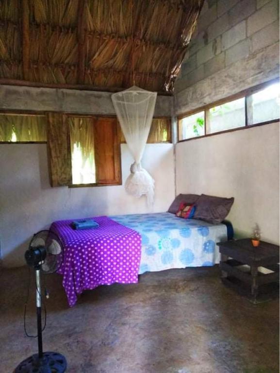 Casa Bonika