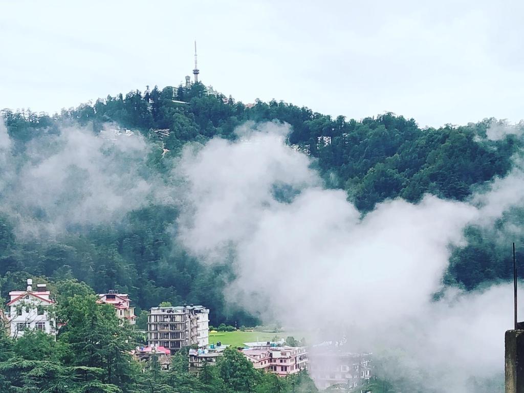 Shimla Pines Homestay — Hotel in Shimla
