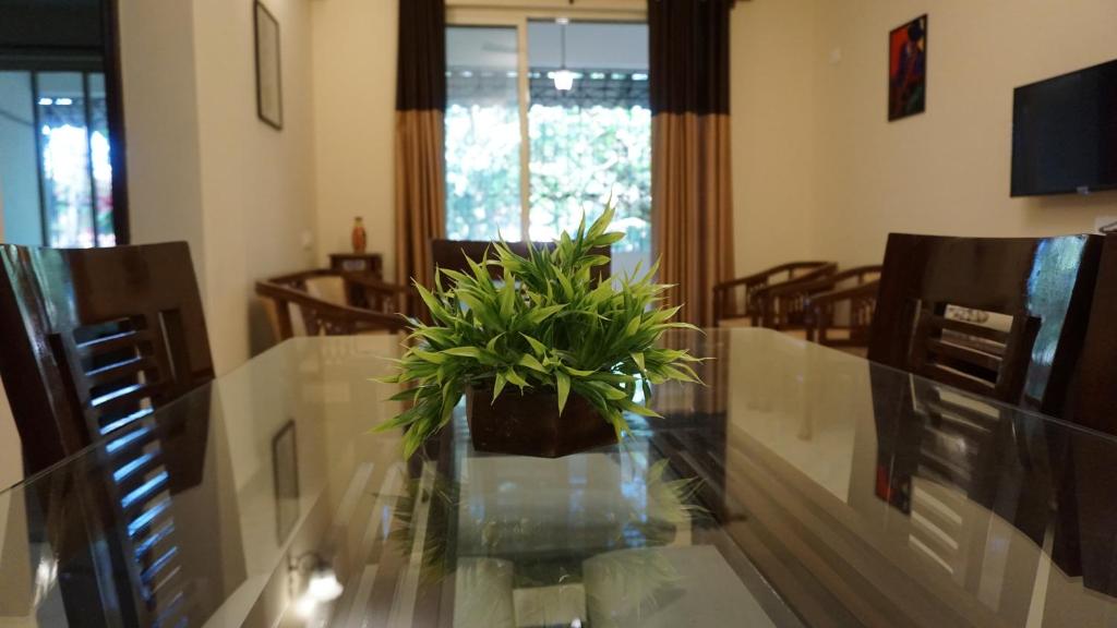 Pacifica Holiday Homes Goa photo